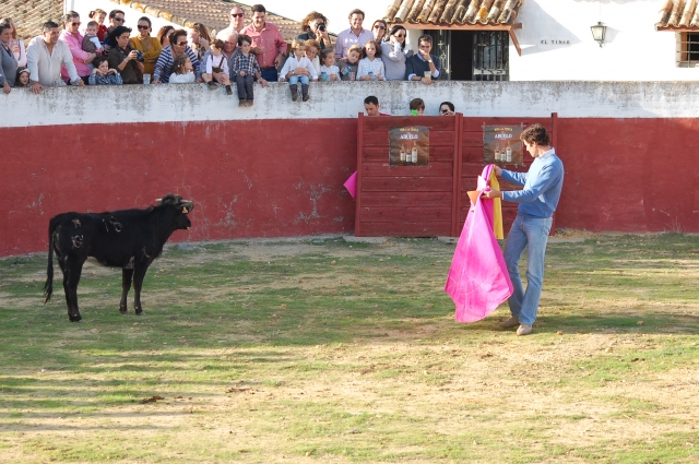  Corrida nos génisses 